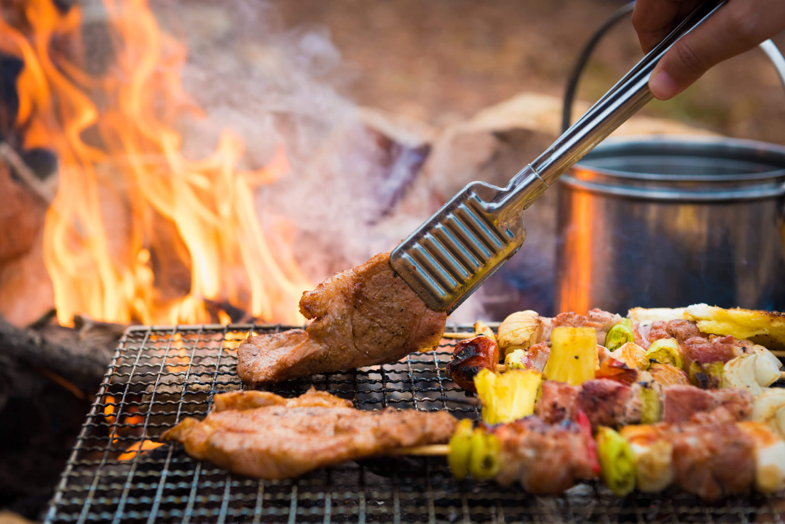 The Perfect Wine Pairings For All Your Favorite BBQ and Grilled Foods 6