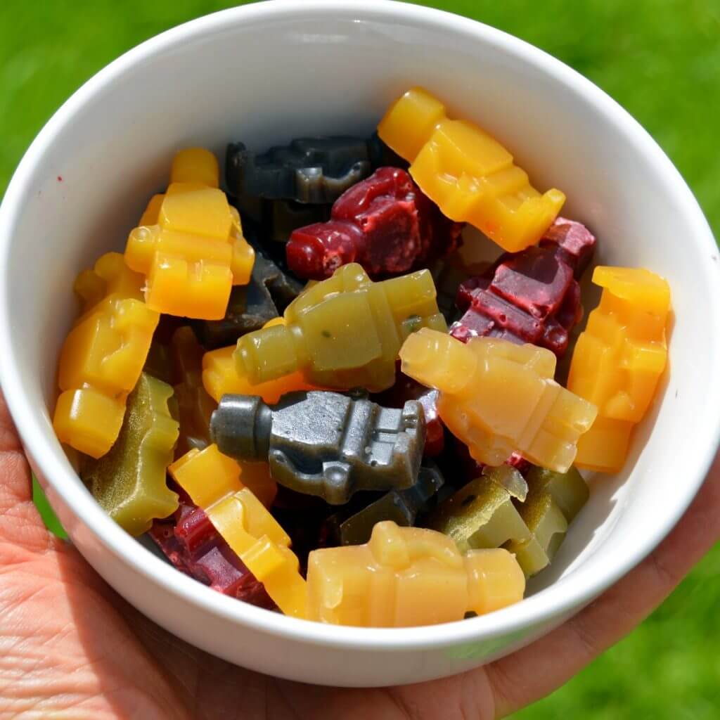 Garlands, candies & gunshots welcome BJP’s Vijayvargiya out on bail 1