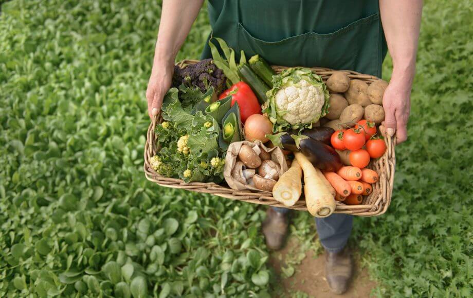 Govt to make labeling system of organic agricultural merchandise less difficult 2