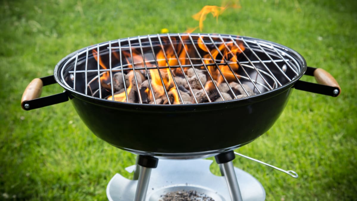 Expert Grill Commodore Pellet Grills Review 1