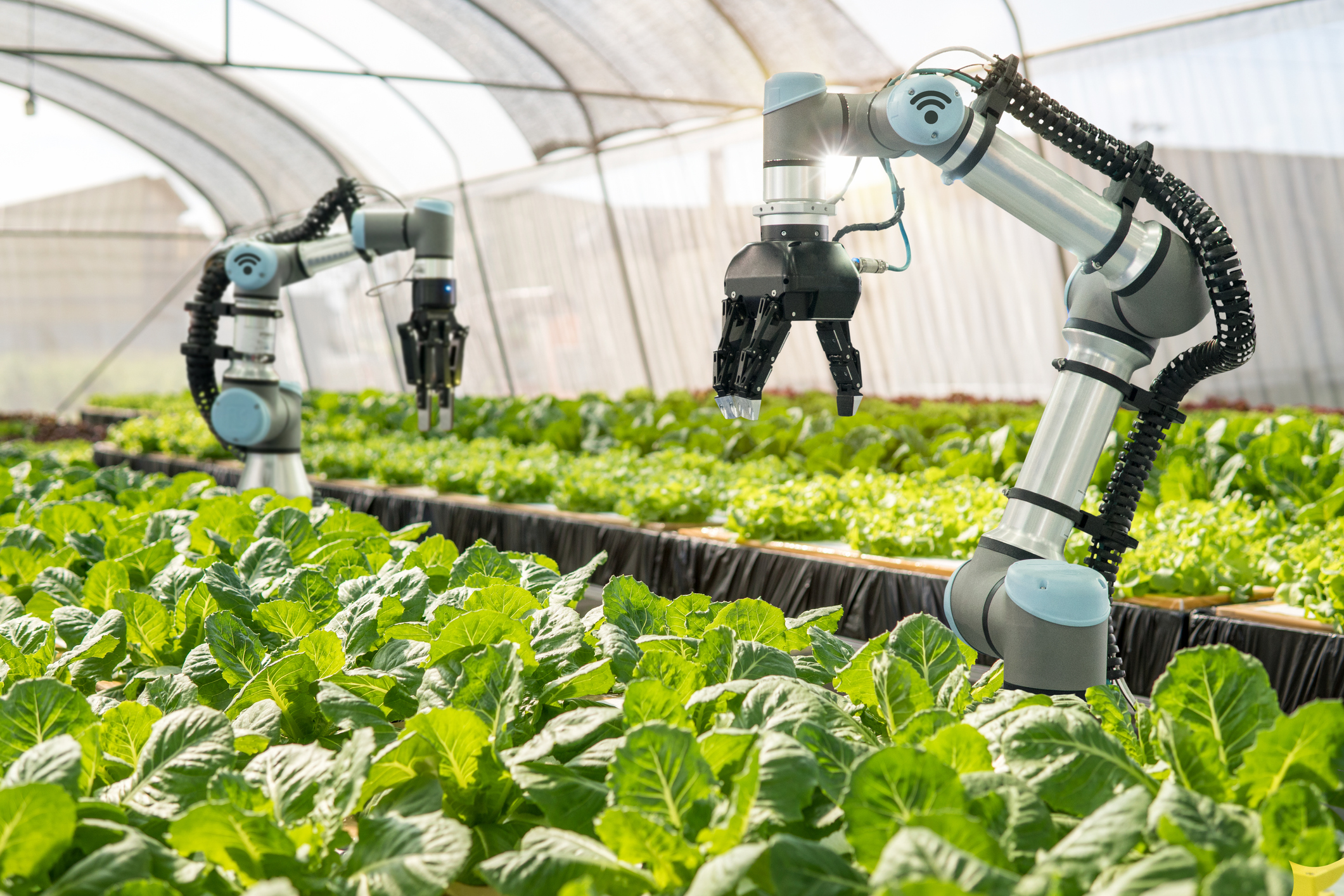 Future Food Tech Trends That Will Change the World 1