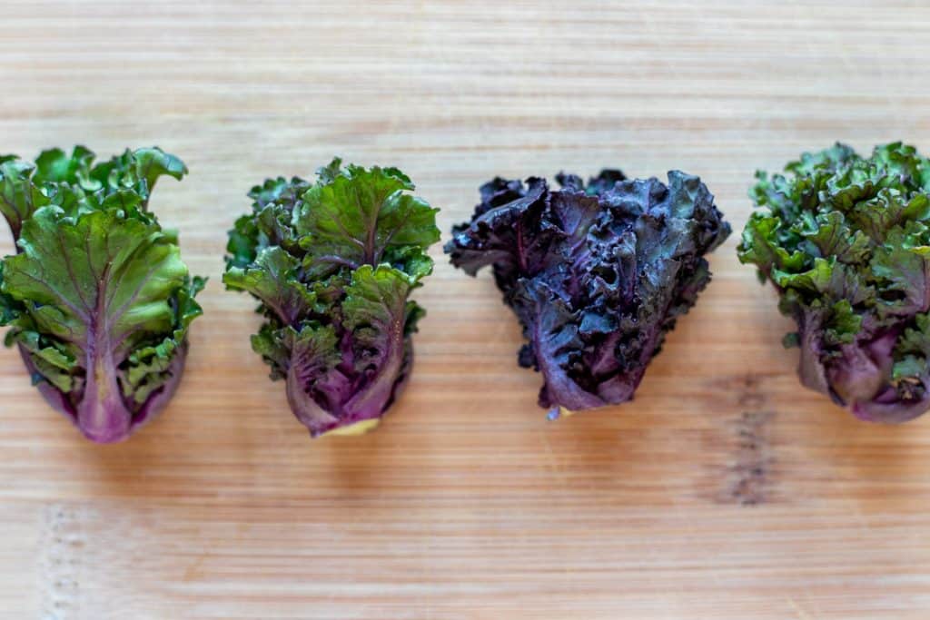 Exploring the Nutritional Benefits of Kalettes 3