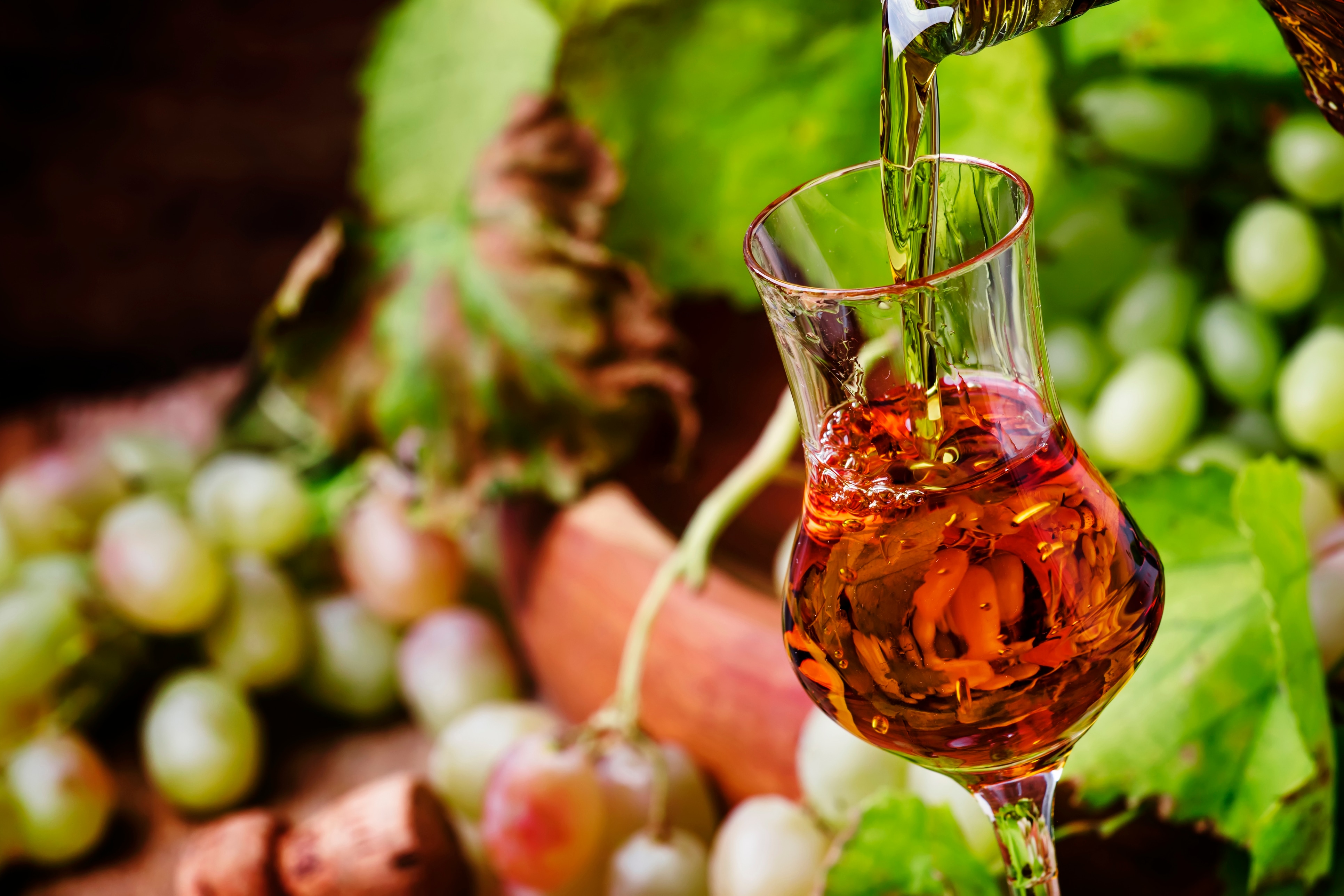 Grappa 101: A Crash Course at the Italian Pomace Brandy 1